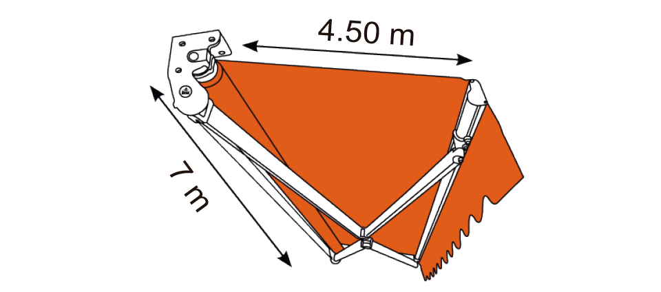 Dimensions Magnum